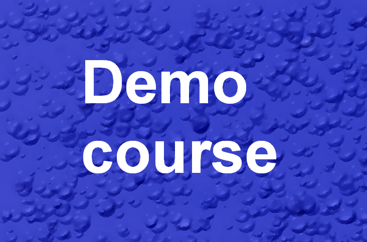 demo course